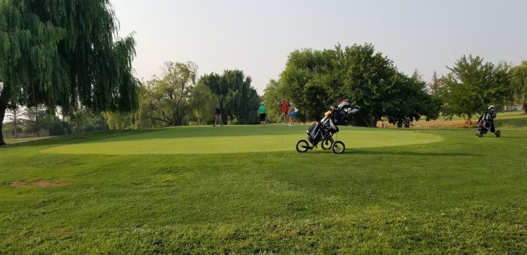 view of push cart on golf course